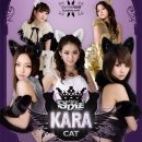 카라pc방 이미지