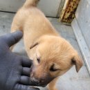 옥호2리 이미지