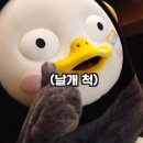또오랑 이미지