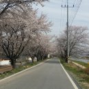 오수시장 이미지