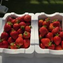 둥이농장 이미지