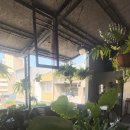 멍뭉이 쌀롱 | 타이난 레트로 카페 순풍호(順風號) 고택에서 먹은 달콤한 디저트와 찰나