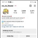 상신리코코네 이미지