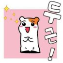이예앤이예 이미지