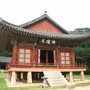 낙동강 유채단지 | 낙동강 유채단지 첫 방문 후기