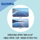 바이온에버