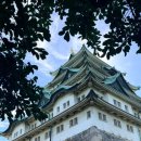 성은안경 | [공지] 🇯🇵나고야 5일차 여행코스 | 나고야성 방문 후기 (입장료 가격, 관람시간, 포토존 추천)