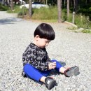 블랙트리하우스 이미지