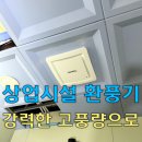 상업용 14 | 제주 환풍기 교체, 습기 많은 제주엔 고풍량 힘펠 자이온이 정답! 14대 시공 후기 (푸른전기조명)