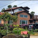 제주편백휴낭 이미지