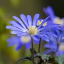 금호강3 이미지