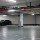 팡팡마차 | 해운대 포장마차 거리 랍스터포차 미포1호 후기