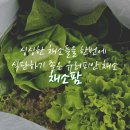 호인농장 | 샐러드 식단 유럽피안 채소들로 이루어진 싱싱한 채소팜