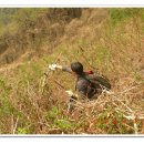 청봉농장 이미지