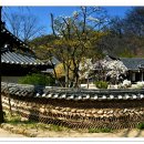 한국민속촌 이미지