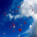 하나 외국어번역 행정사사무소 이미지