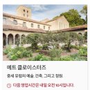 이스터즈 | 뉴욕 메트로폴리탄미술관(The Metropolitan Museum of Art) 과 덴두르 신전(The Temple of Dendur) 전시