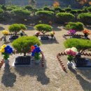 동두천목장 이미지