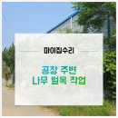 혜산로 | 안성 공장 주변 나무 벌목 작업