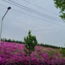 구룡꽃식물원 이미지