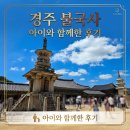 미소나무태권도장(줄기관) | 🐻​​🏯 경주 가볼 만한 곳! 아이와 경주 불국사 주차장 명당, 입장료, 숨은 복돼지 찾기 꿀팁 (feat.경주...