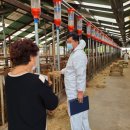 종합축산 이미지