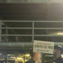 부산고등어축제 공동어시장 경매체험 후기