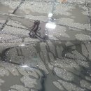 대전 손세차장 이미지