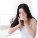 안코비어 이미지