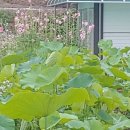 자라경로당 이미지