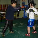 진해 복싱체육관 이미지