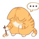 스텔라 민박 이미지