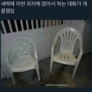 은척시장 | 소란한 2주가 지나 | 독일 직무탐방 프로그램