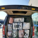 여행, 미룰 수 없는 자유 이미지