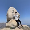 주암농장 | 2021년 영남알프스 9봉 완등 인증 뒷북 후기