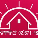 용마루부동산