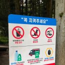 사려니숲길 | 제주 한라산 둘레길 7구간🌲사려니숲길🌲 - 무장애 나눔길 후기, 주차