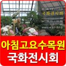 아침고요수목원 국화전시회 17.10.21(토)~17.11.26(일) 이미지