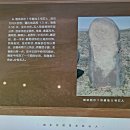 비소(장군)-호-2 | 여정 실크로드}}} ●부제:고비사막과 타클라마칸 사막을 넘어 서역으로● {제2부: 실크로드 천산,서역남로}