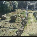 노을과포도향기 이미지