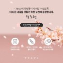 그래티튜드