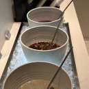 피자크라상&왕애치킨 | 웨딩홀 투어 7탄｜SY컨벤션 연회장 뷔페 후기 (메뉴 총정리 + 혼주 식사 공간까지)