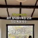 스테이 뒷빌레 이미지
