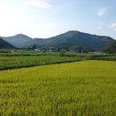 늑천정 옆 이미지