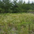 자바라무인텔 이미지