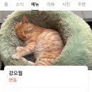 까까요 dog | [광명/소하동] 애주락 / 육사시미 육회 소고기뭇국 맛집 송년회 망년회 내돈내산 후기