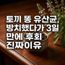 토끼 똥 유산균, 방치했다가 3일 만에 후회한 진짜 이유