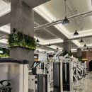 리얼 스트렝스 짐 이미지