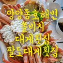 양양 동호해변 팔도대게횟집에서 수율대장 대게와 회를 한번에!