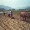 냉천주유소 이미지